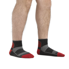 Men's 1/4 Sock 2-Pack
